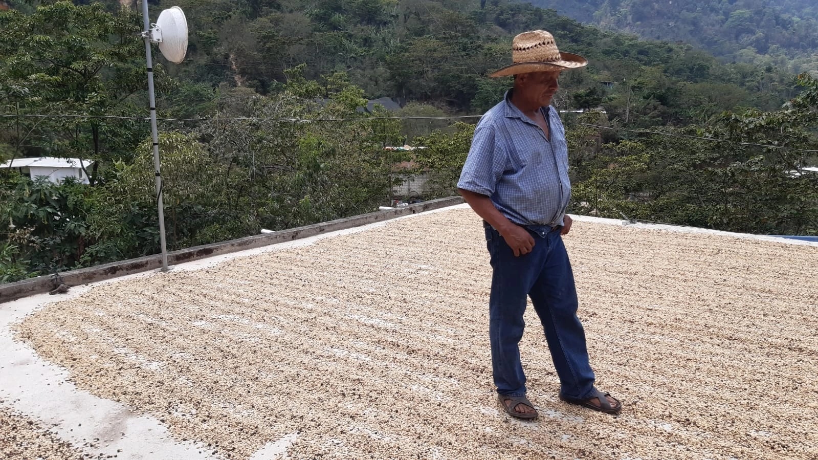 Mexico Chiapas.jpg